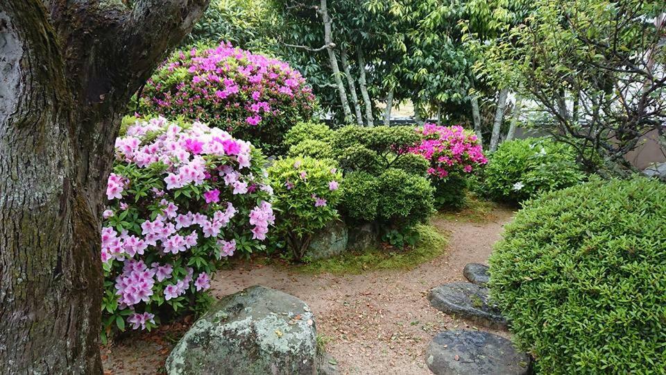 Setonejuan Hotel Takamatsu Buitenkant foto
